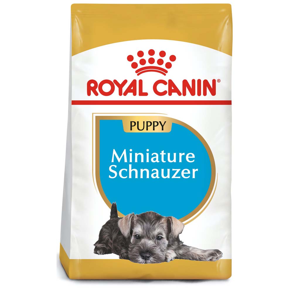 Royal Canin Miniature Schnauzer Puppy 1.13 Kg - Alimento para Cachorro Royal Canin Miniature Schnauzer Puppy 1.13 Kg - Alimento para Cachorro